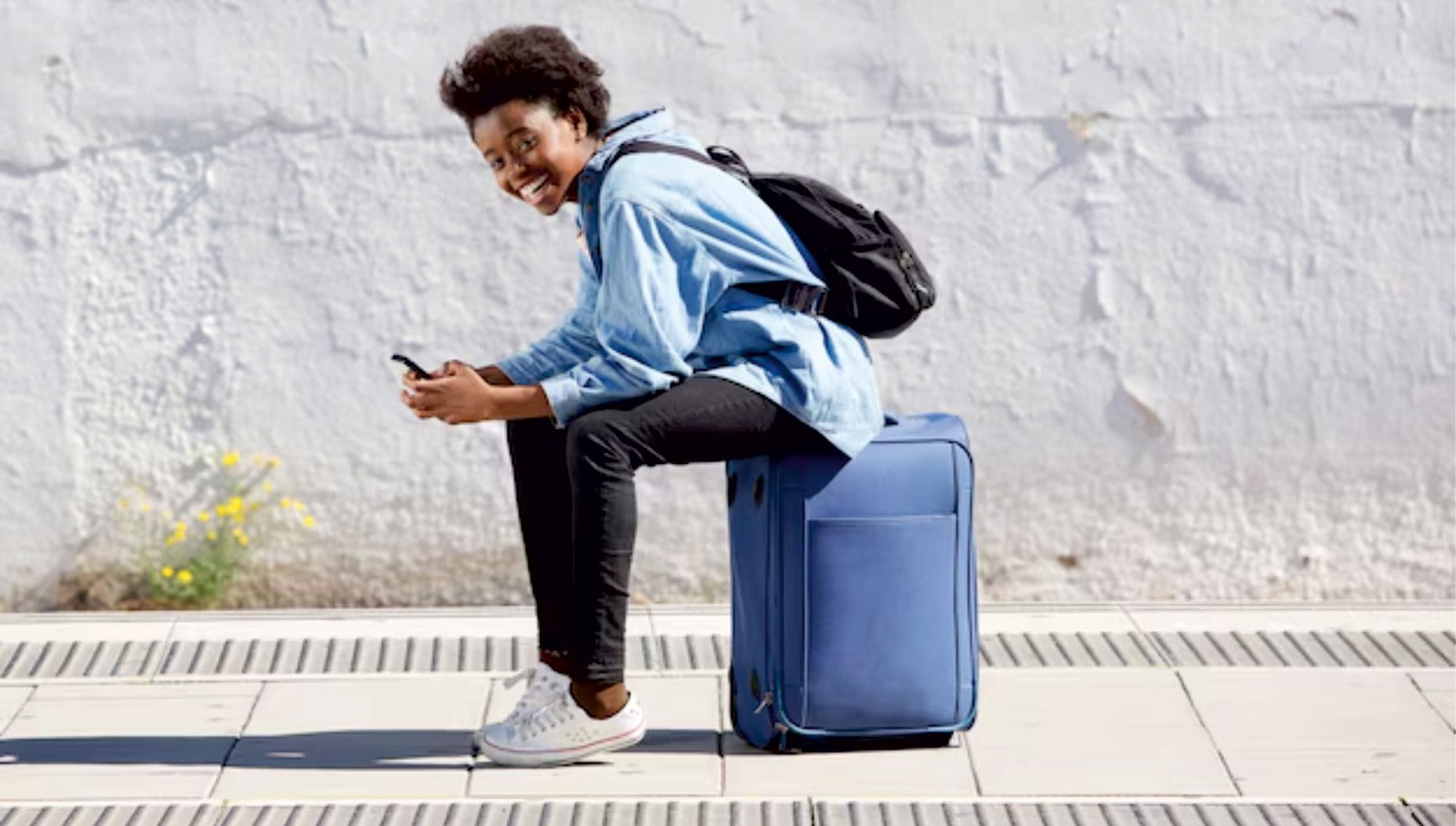 humo logotipo de color paleta